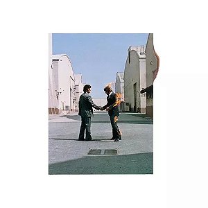 Pink Floyd - Wish You Were Here (Usado)