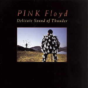 Pink Floyd - Delicate Sound Of Thunder (Usado)