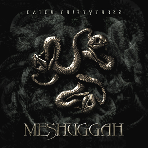 Meshuggah - Catch Thirty Three (Usado)