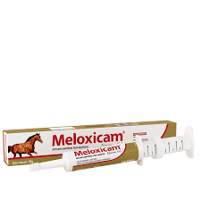 Meloxicam® Equinos Gel - Vetnil