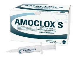 AMOCLOX® S