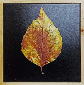 Quadro Pinus - Folha Dourada