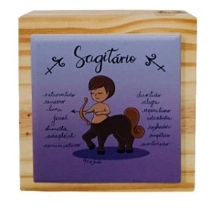 Cubo Signo Sagitário