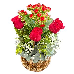Vaso de Kalandiva e Rosas Vermelhas