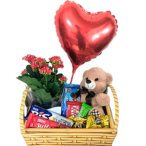 Cesta de Chocolate Ursinho Especial