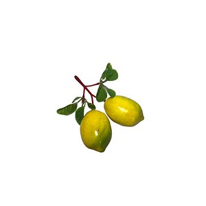Cacho de Limão Siciliano SY01549