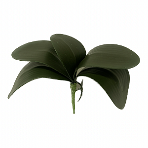 FOLHA DE ORQUIDEA GRD. CR-0040