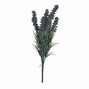 Lavanda AP-0004