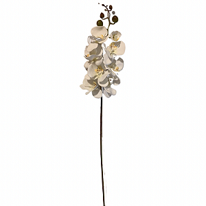 GALHO DE ORQUIDEA  C/ BAMBU DM-0004