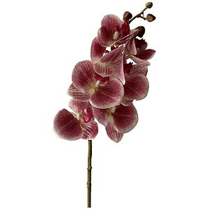 Galho de Orquídea Siliconada Fran DM-0013PB
