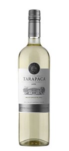 León Tarapacá Sauvignon Blanc
