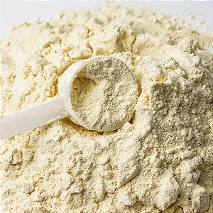WHEY PROTEIN CONCENTRADO BAUNILHA