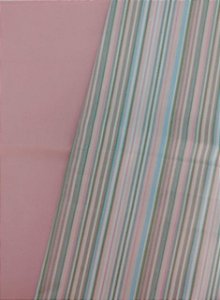 KIT 277- 2 PEÇAS - CADA PEÇA MEDE 25 CM X 150 CM