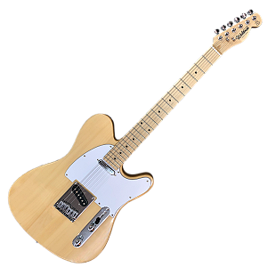GUITARRA TELECASTER WALDMAN - GTE200 N