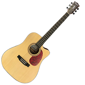 VIOLAO FOLK ELETRICO - WALDMAN DCEX341N