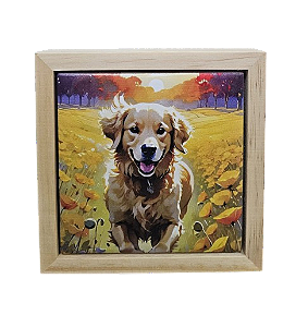 07-50-C142 Quadro Apoio - Golden