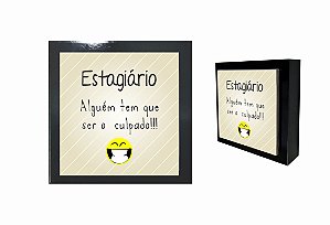 07-04-P034 Cubo Decor Preto - Estagiário