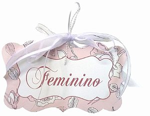 1706-006 Placa MDF -  Banheiro Fem rosa