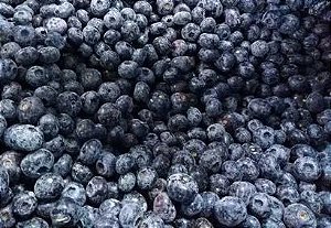 Mirtilo Congelado 1Kg