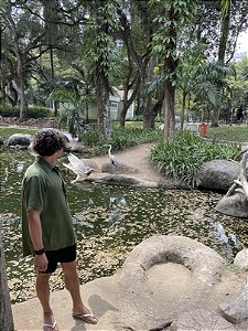 Camisa Viscolinho Floresta