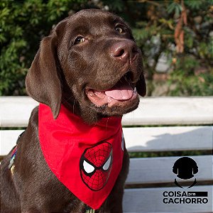 Bandana para cães Homem Aranha