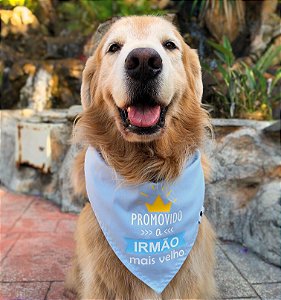 Bandana para cães irmão mais velho