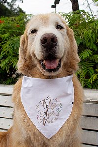 Bandana para cães Ano Novo