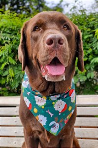 Bandana de natal pets