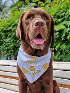 Bandana para cães Ano Novo