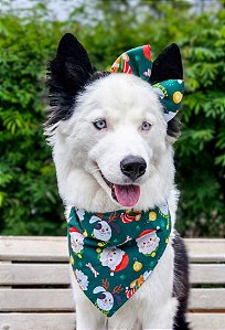 Kit Laço e bandana Natal pets