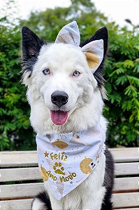 Kit Laço e bandana Ano Novo 25