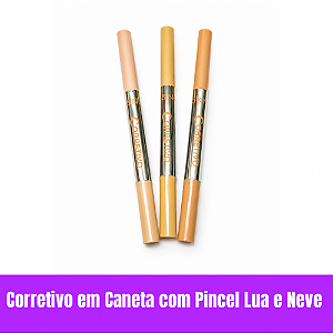 Corretivo em Caneta e Pincel Lua e Neve