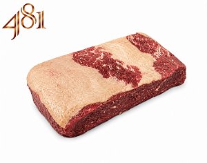 BRISKET SIGNATURE - 481