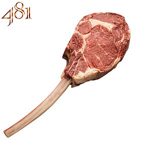 TOMAHAWK - 481