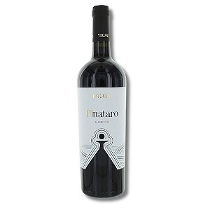 Vinho Tinto Italiano Pinataro Primitivo Puglia IGP 2023