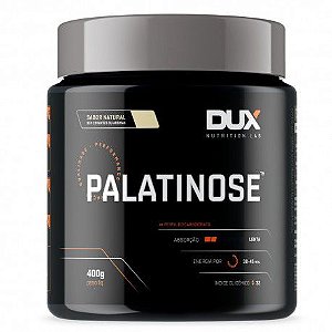 Palatinose 400g DUX