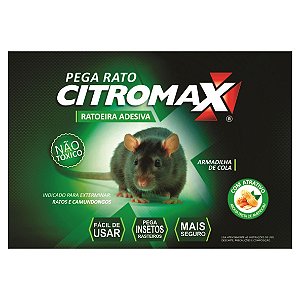 RATOEIRA ADESIVA CARTELA COLA PEGA RATO CITROMAX 1un