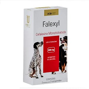 Falexyl 600mg 14 Comprimidos