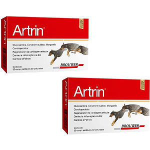 Artrin 30 Comprimidos Kit 2 Caixas