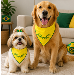 Bandana do Brasil