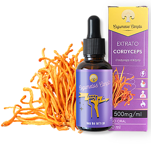 Extrato de Cordyceps Militaris