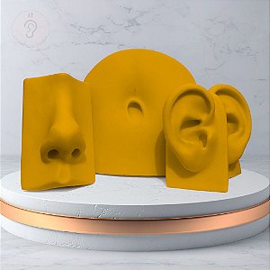 Kit Expositor - Orelha Vertical / Nariz / Umbigo - Amarelo