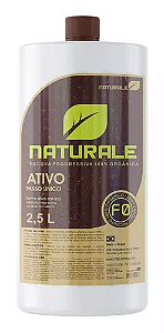 Progressiva Orgânica Naturale Brasil Sem Formol Ativo 2,5 L
