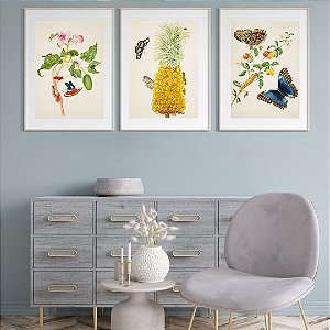 Coleção "Metamorphosis: frutas e insetos tropicais" por Maria Sibylla