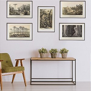 Coleção "Domínios Naturais Brasileiros por Martius"