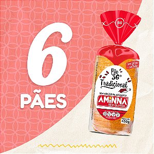 Kit com 6 Pães Aminna sem Glúten, sem açúcar, Tradicional, 450g