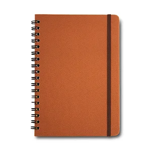 Caderno Espiral Colegial Clássica Pautado Caramelo 1 Matéria 80 fls