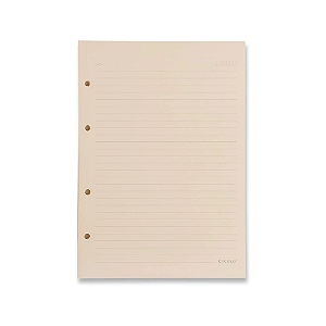Refil Caderno Argolado 40FLS Polen 80g 17x24 Pautado