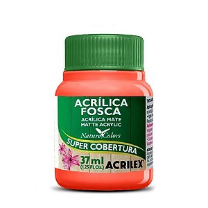 Tinta Acrílica Fosca Laranja 37ml Acrilex