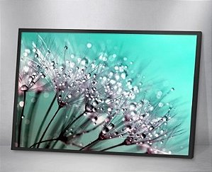 Quadro Decorativo - Natureza 01